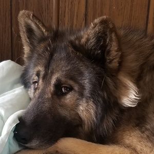 Meet your Posher, Deanna